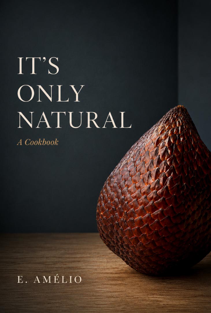 cookbook cover